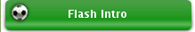 Flash Intro